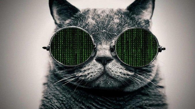VLC，Ubuntu，FFmpeg 这些软件究竟是什么人开发的？为什么免费？他们不求回报又何以生存？